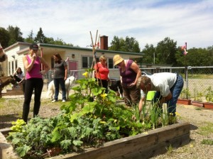 We Dig Therapeutic Garden-Gerald Keddy August 2014